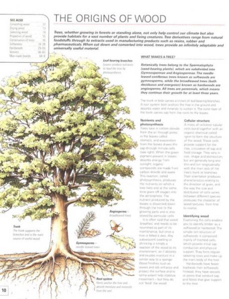 Collins Complete Woodworker's Manual