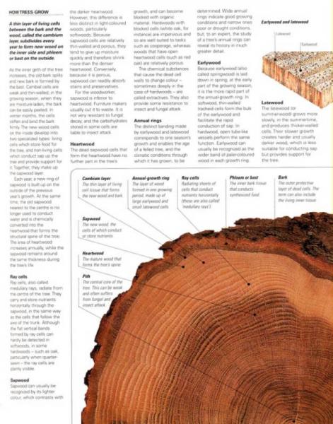 Collins Complete Woodworker's Manual