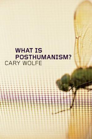 What Is Posthumanism?