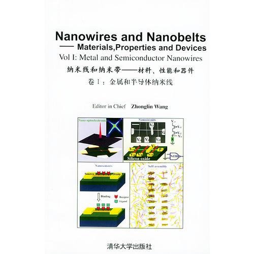 纳米线和纳米带——材料、性能和器件（卷I：金属和半导体纳米线