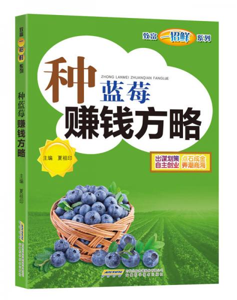 種藍(lán)莓賺錢方略