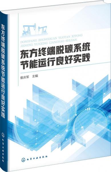東方終端脫碳系統(tǒng)節(jié)能運行良好實踐 