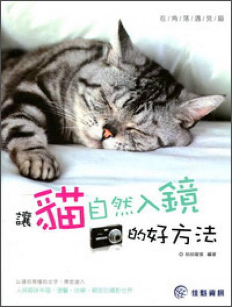 在角落遇見貓：讓貓自然入鏡的好方法