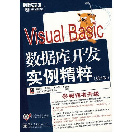 Visual Basic数据库开发实例精粹（第2版）