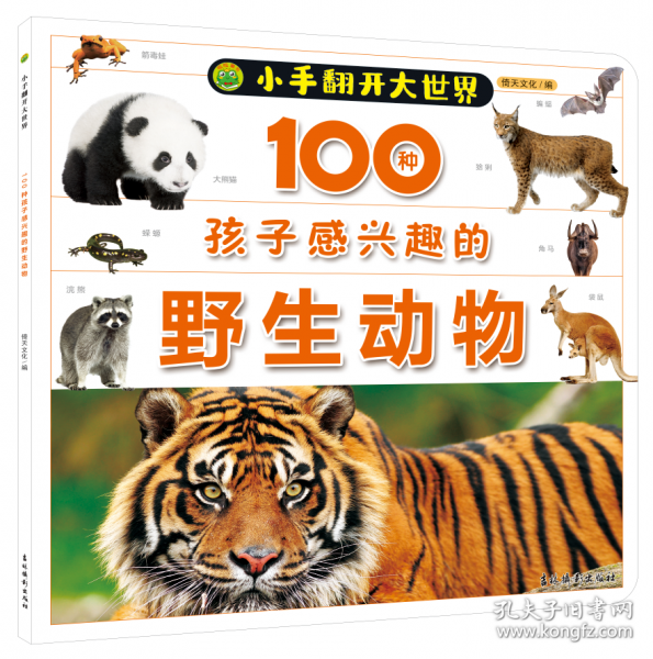 小手翻開(kāi)大世界 100種孩子感興趣的野生動(dòng)物