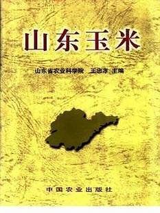 山东玉米