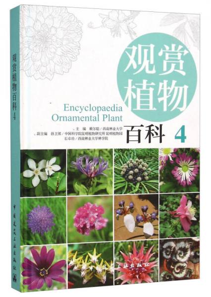 觀賞植物百科4