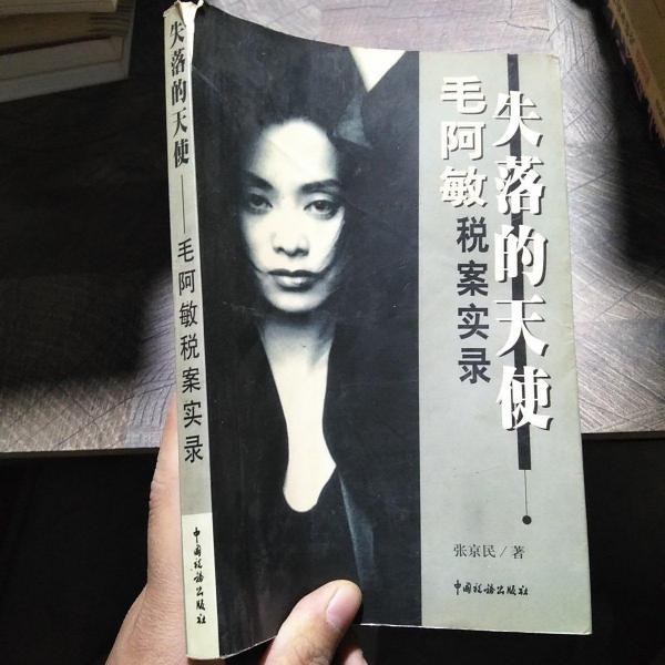 失落的天使--毛阿敏稅案實(shí)錄