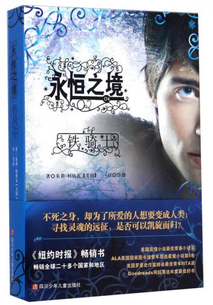 永恒之境：鐵騎士