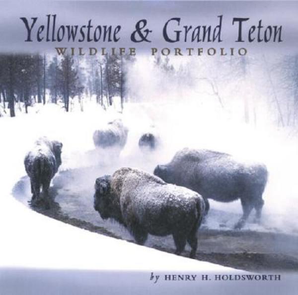 Yellowstone&GrandTetonWildlife