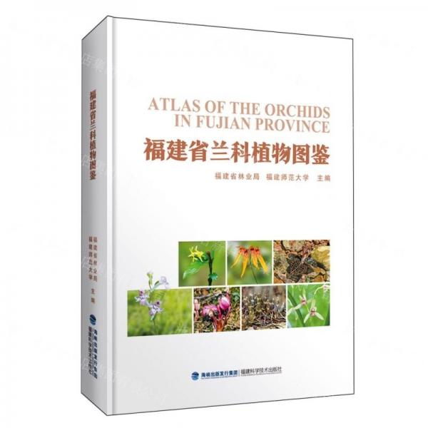 福建省蘭科植物圖鑒(精)
