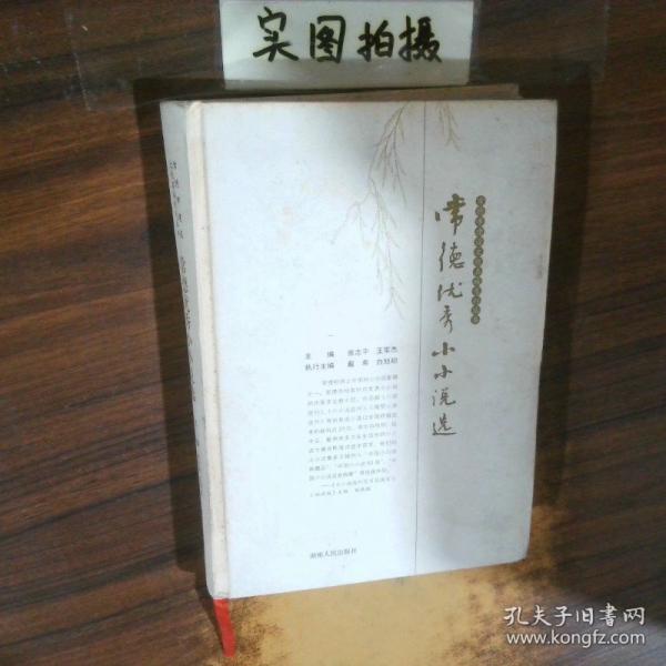 常德优秀小小说选
