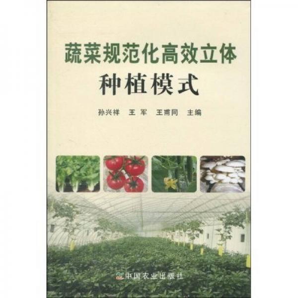 蔬菜規(guī)范化高效立體種植模式