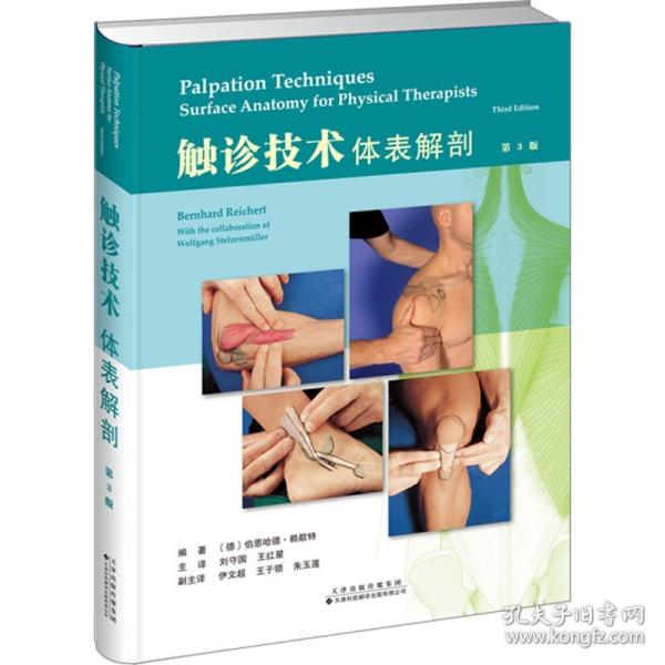 触诊技术：体表解剖