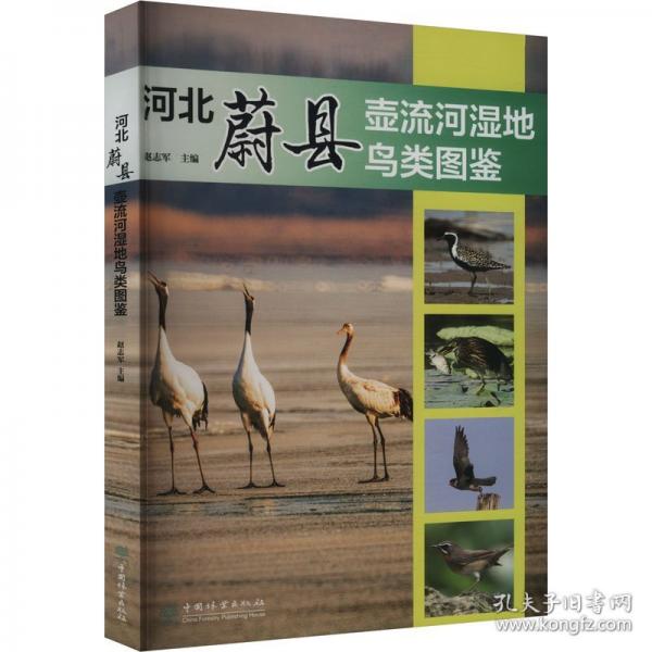 河北蔚县壶流河湿地鸟类图鉴