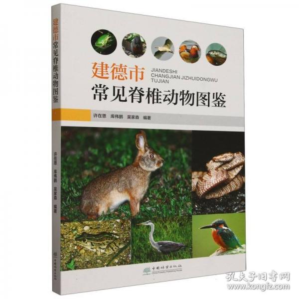 建德市常見(jiàn)脊椎動(dòng)物圖鑒