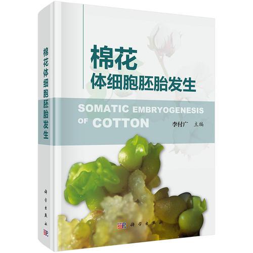 棉花體細(xì)胞胚胎發(fā)生