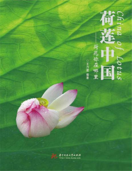 荷蓮中國(guó)：荷花你在哪里