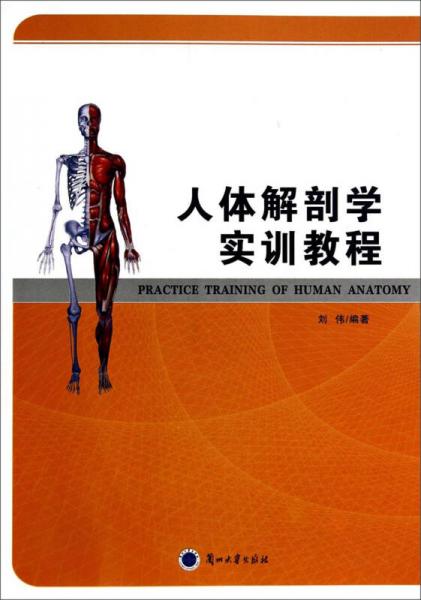人体解剖学实训教程