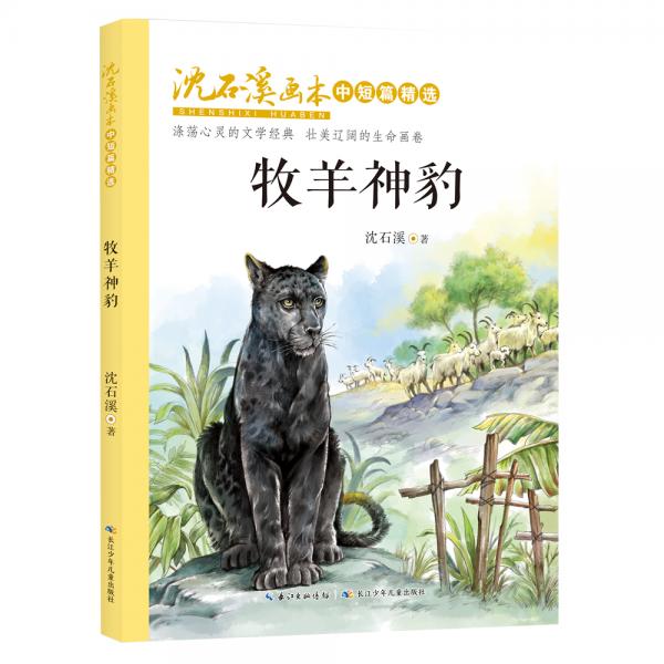 沈石溪画本·中短篇精选精选“动物小说大王”沈石溪的多部中短篇小说