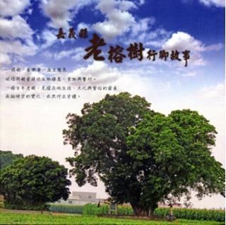 嘉義縣老榕樹行腳故事
