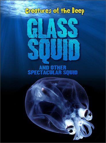 GlassSquidandOtherSpectacularSquid(CreaturesoftheDeepLevelR)
