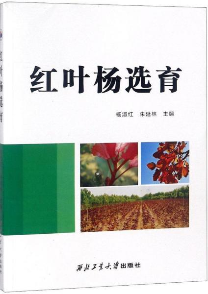 紅葉楊選育 
