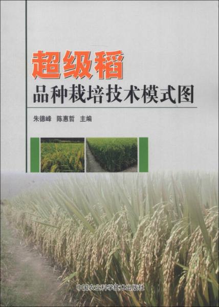 超级稻品种栽培技术模式图