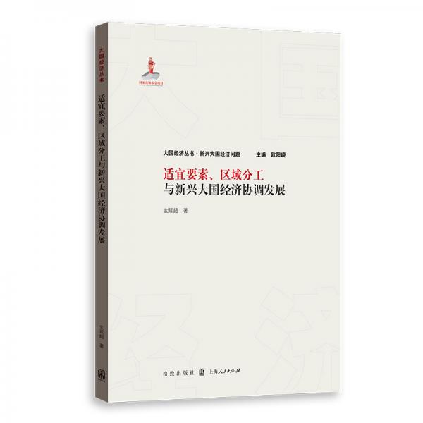 適宜要素、區(qū)域分工與新興大國經(jīng)濟(jì)協(xié)調(diào)發(fā)展