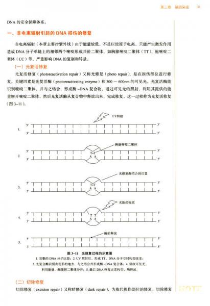 医学遗传学/全国中医药行业高等教育“十三五”规划教材