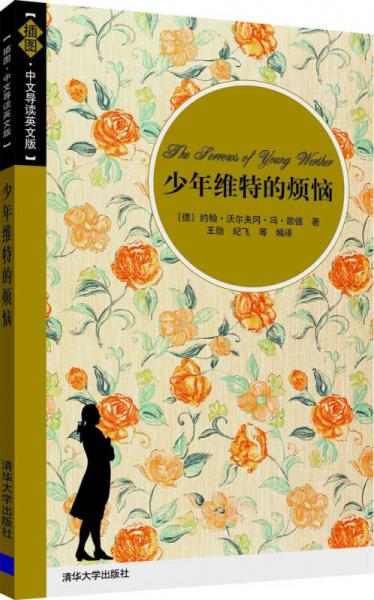 少年维特的烦恼