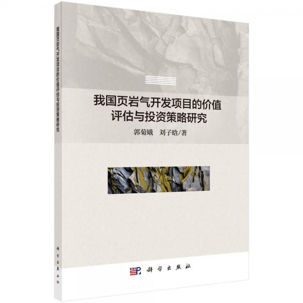 我國頁巖氣開發(fā)項(xiàng)目的價(jià)值評(píng)估與投資策略研究