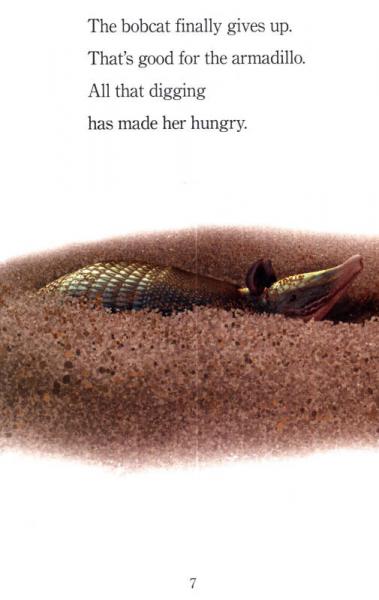 Amazing Armadillos  进阶阅读3：犰狳