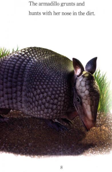 Amazing Armadillos  进阶阅读3：犰狳