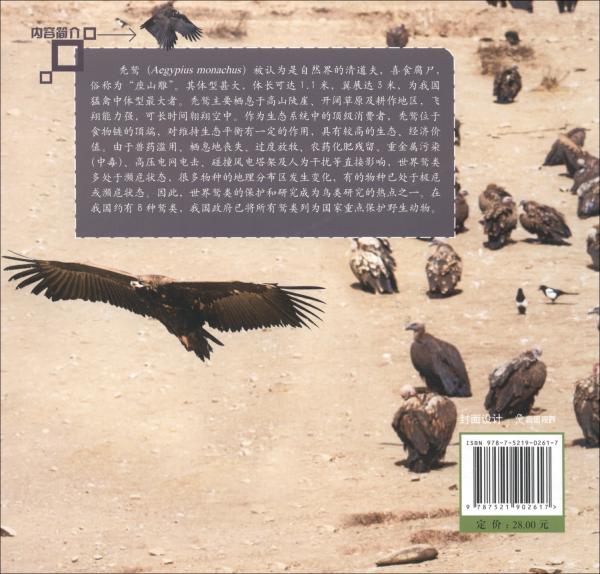 禿鷲的故事/綠野尋蹤