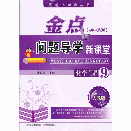 金点：问题导学新课堂 化学 九年级 上册（适用于人教版）