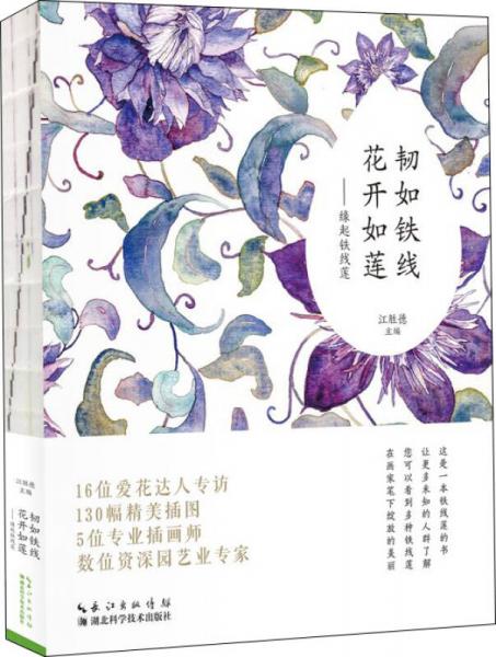 韌如鐵線，花開如蓮：緣起鐵線蓮