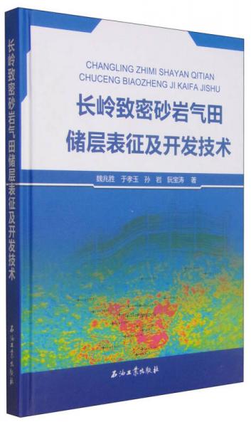 長(zhǎng)嶺致密砂巖氣田儲(chǔ)層表征及開發(fā)技術(shù)