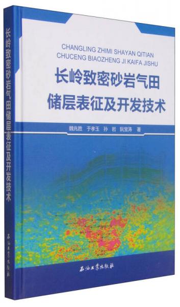 长岭致密砂岩气田储层表征及开发技术