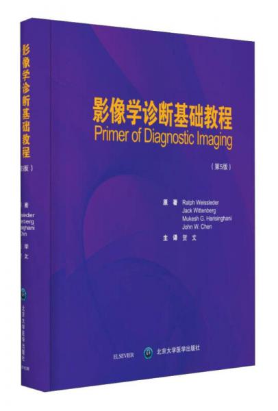 影像學(xué)診斷基礎(chǔ)教程