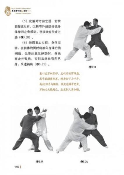 陈式太极功夫系列：太极养生增气功与散手