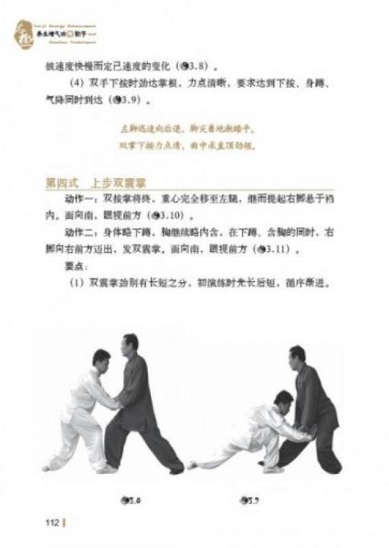 陈式太极功夫系列：太极养生增气功与散手