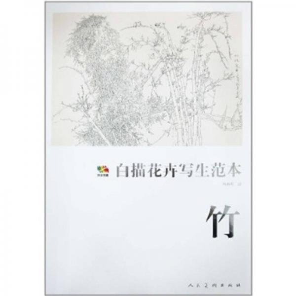 竹-白描花卉寫生范本