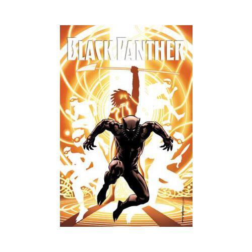 Black Panther: A Nation Under Our Feet Book 2