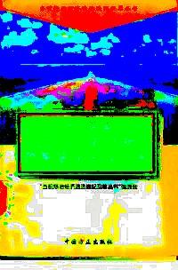 當(dāng)前各種經(jīng)濟(jì)違法違紀(jì)犯罪認(rèn)定處理政策法律法規(guī)手冊(cè)