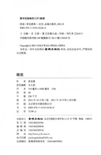 长篇时征小说：暗流