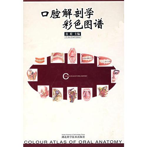 口腔解剖學(xué)彩色圖譜