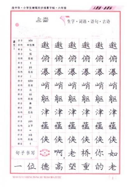 庞中华·小学生硬笔同步描摹字帖