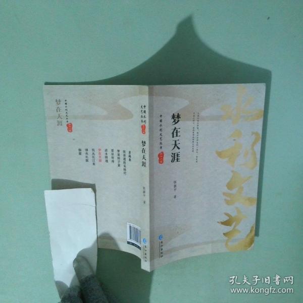 夢在天涯