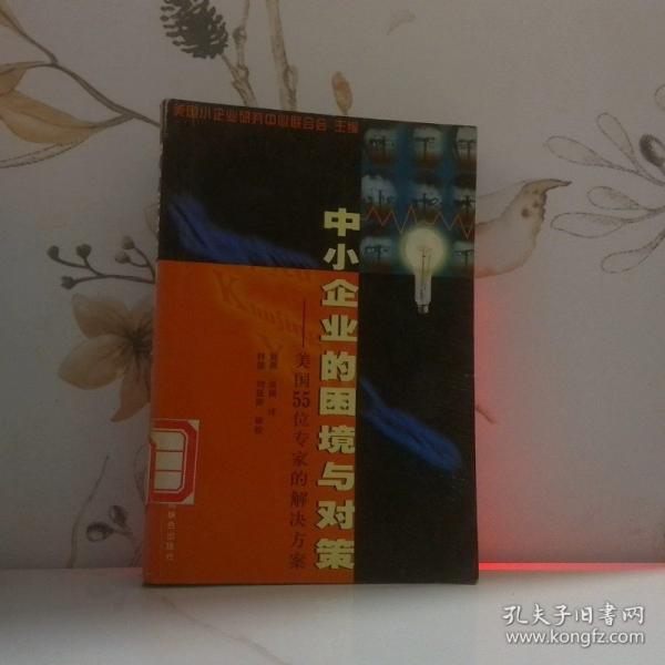 中小企業(yè)的困境與對策:美國 55 